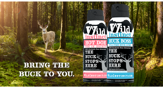 Why Scents are Hunting Essentials